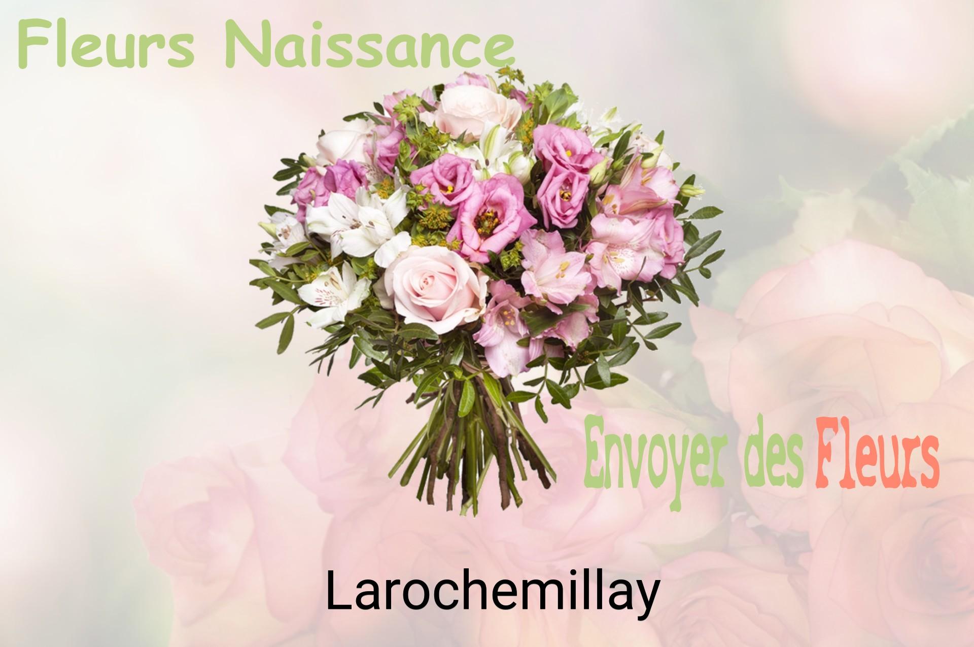 Bouquet de fleurs de naissance livré à Larochemillay