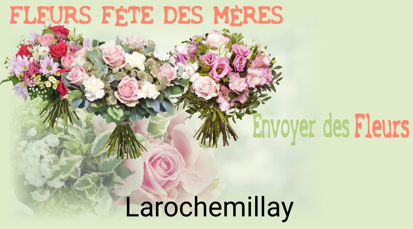 Bouquet de Fête des Mères livré à Larochemillay